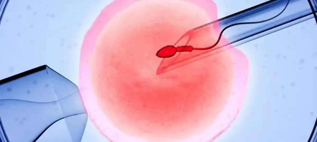 अयशस्वी आय.व्ही.एफ – कारण आणि प्रक्रिया