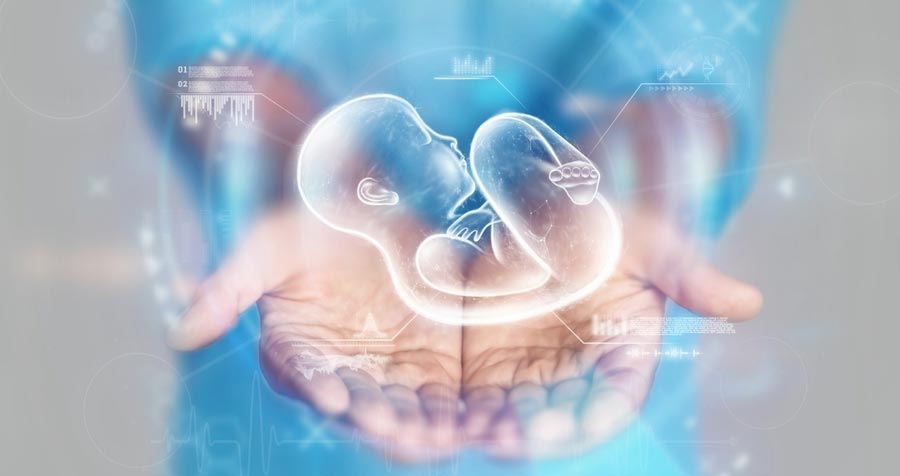 Luteal Phase Symptoms for Pregnancy