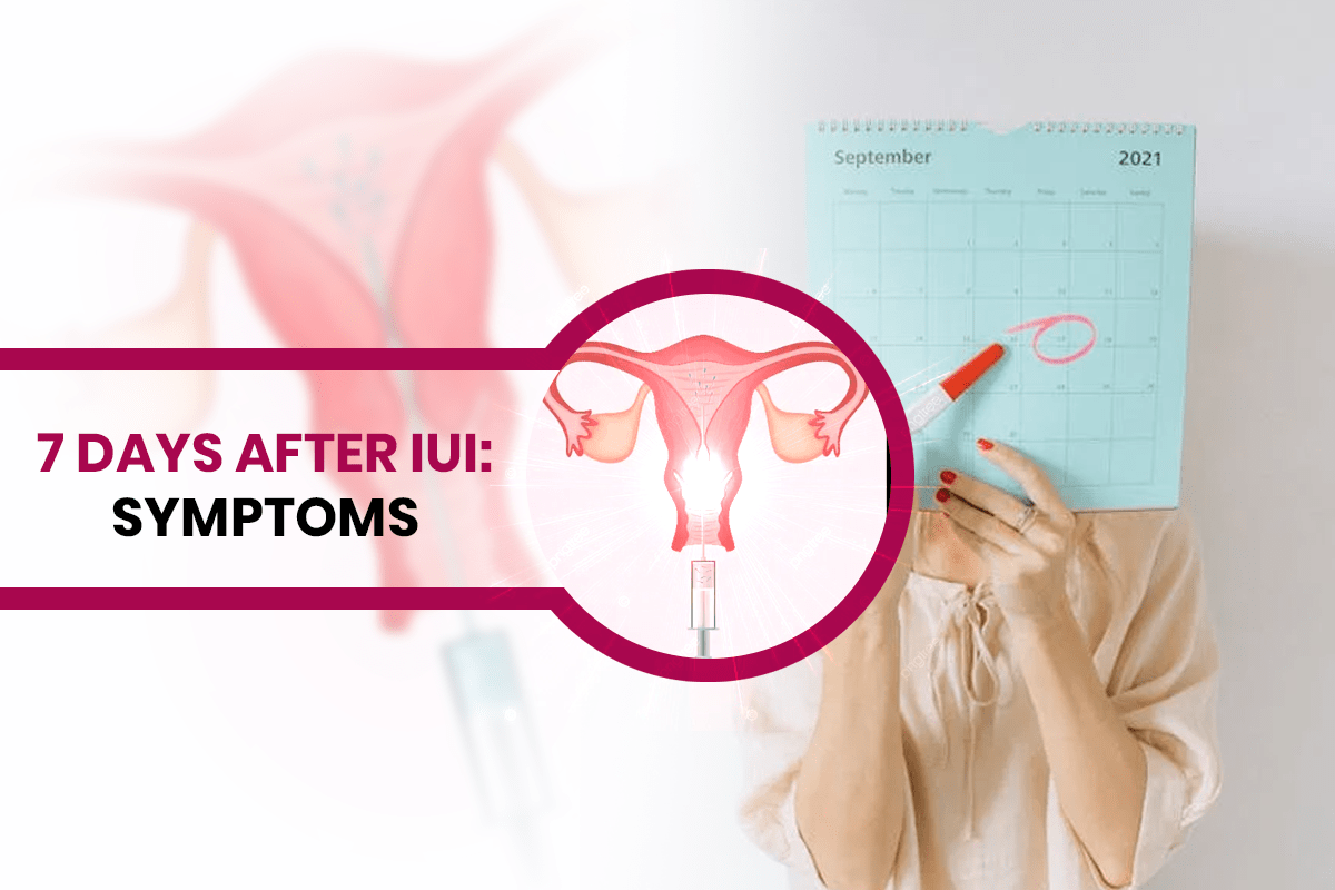 7 Days Post IUI: Symptoms, Signs & What to Expect