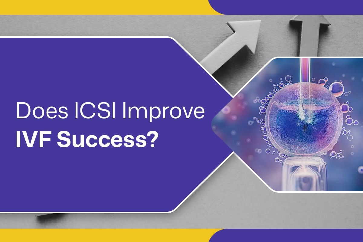 Does ICSI Improve IVF Success | Bloom IVF