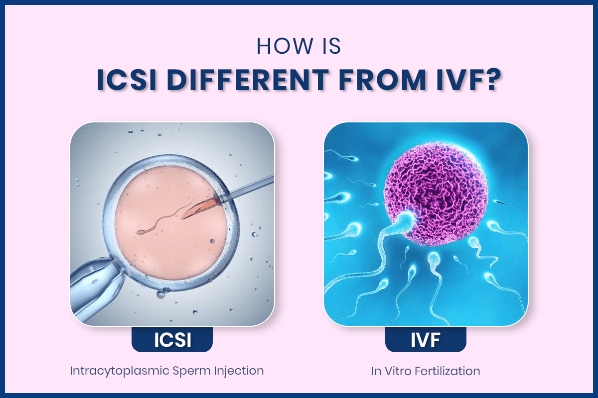 How Is ICSI Different from IVF | Bloom IVF