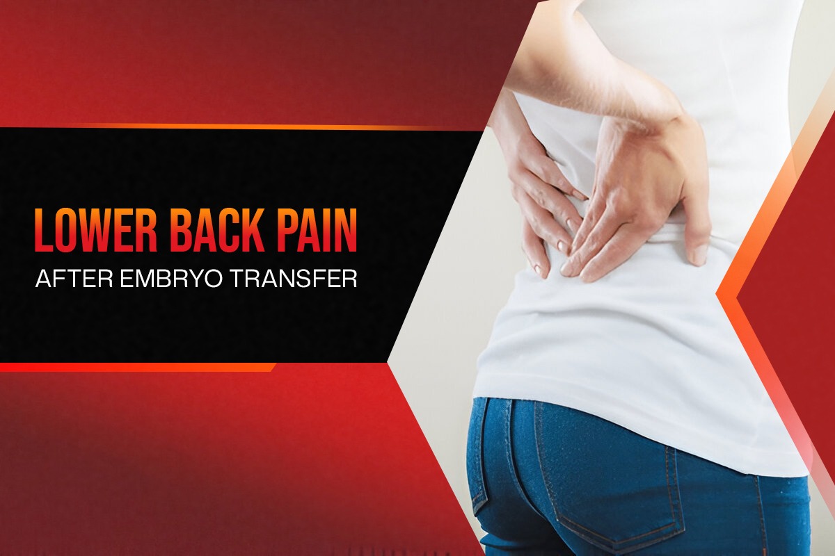 Is Lower Back Pain After Embryo Transfer Normal | Bloom IVF