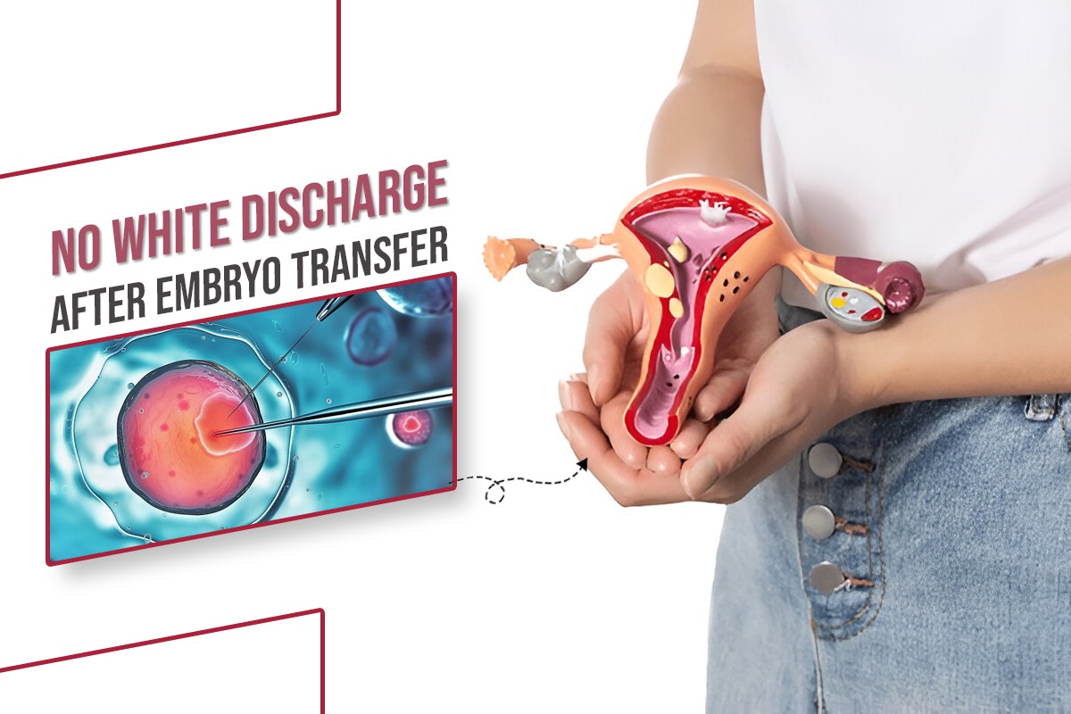 No White Discharge After Embryo Transfer | Bloom IVF