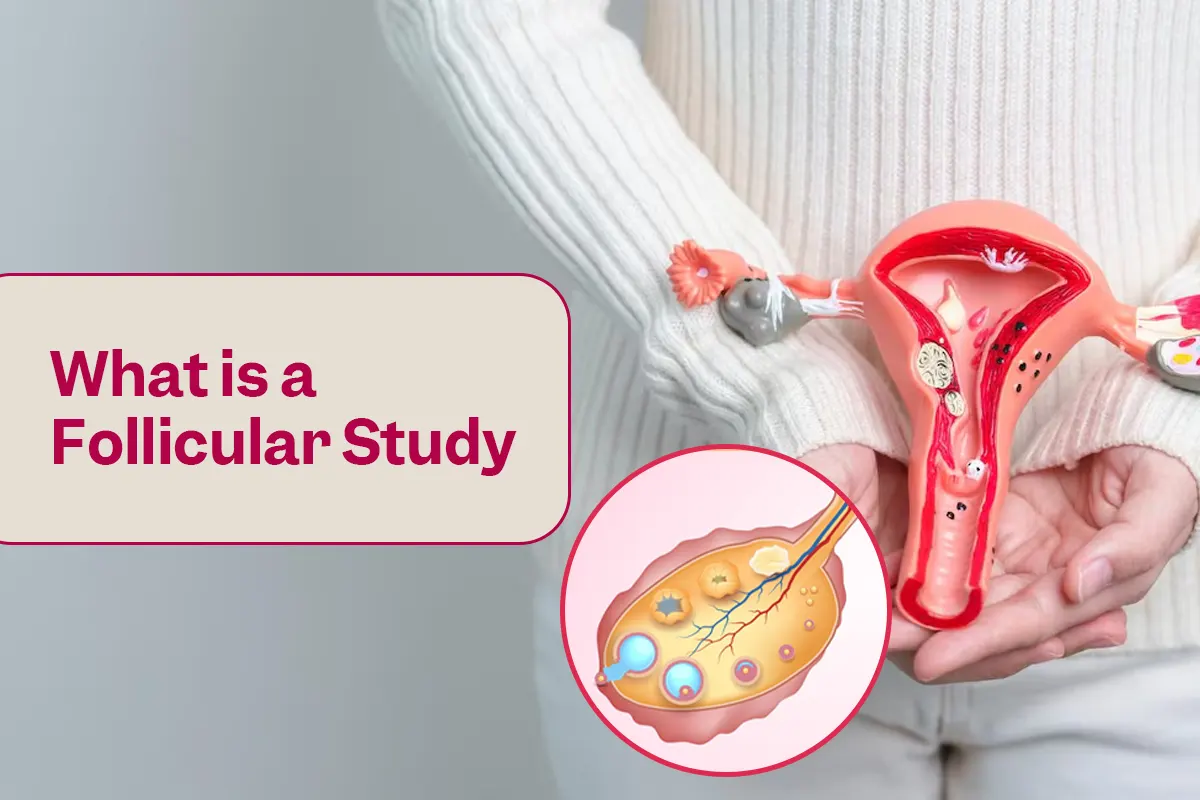 What is a Follicular Study